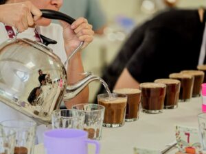 Huatusco recibe etapa de preselección de la 13ª Edición de Taza de Excelencia México